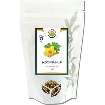 Salvia Paradise Mochna husí nať 100 g