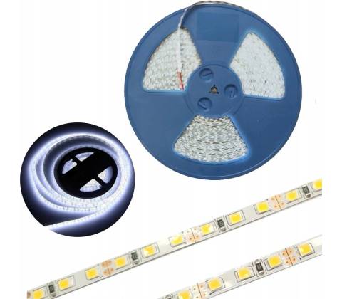 Ecolight EC79706