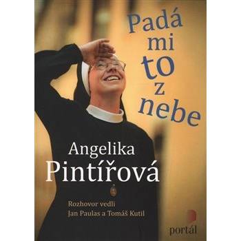 Pintířová Angelika - Padá mi to z nebe
