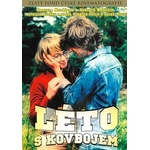 DM discont Summer with a Cowboy - DVD (002292)