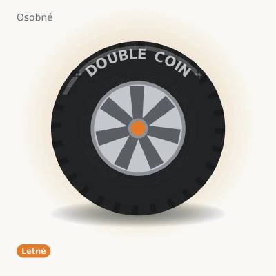 Double Coin DC100 205/50 R17 93W