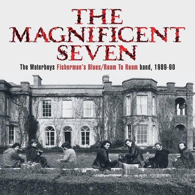 Waterboys: The Magnificent Seven The Waterboys Fisherman's Blues / Room To Roam band, 1989-90 - Deluxe Book Box Set DVD