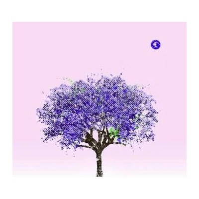 EELS - TOMORROW MORNING LP