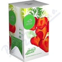 Santée čaj Jahoda Aloe Vera 20 x 2,5 g