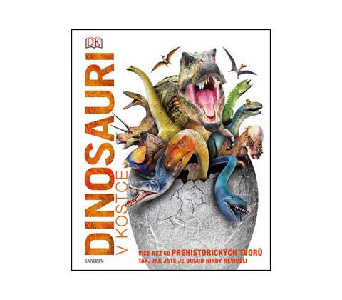 Dinosauři v kostce