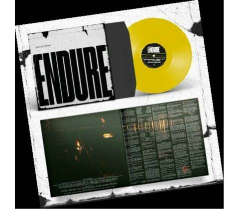 SPECIAL INTEREST - ENDURE LP