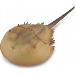 CollectA Figure Horseshoe Crab Figure XL