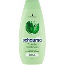 Šampóny Schauma 7 Bylín šampón na normálne a mastné vlasy 400 ml