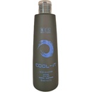 Bes Cool it tónovací šampon 300 ml