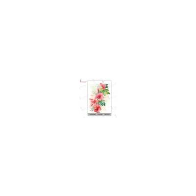 Transfer Me Mini Tropical Beauty (Dress My Craft) nezařazeno DEKDMCDP6525