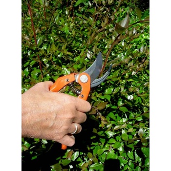 Image 1 of Bahco P121-23