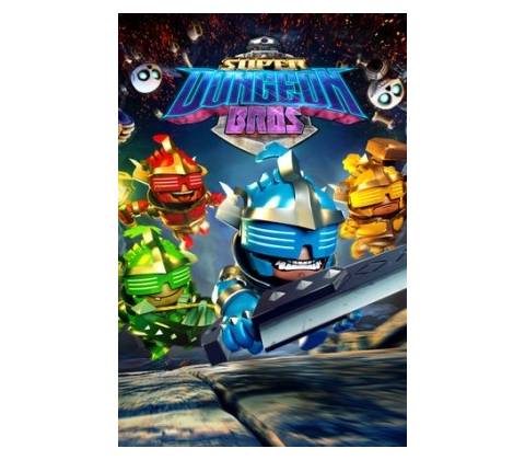 Super Dungeon Bros