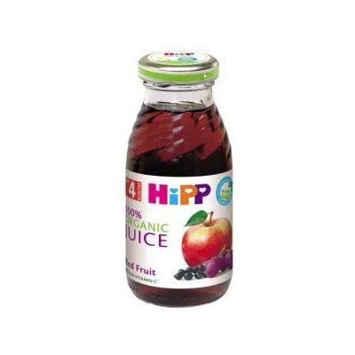 HiPP Сок Hipp, Червени плодове, 200 мл, От 4 месеца, 9062300106234