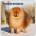 Browntrout Verlags GmbH Pomeranians - Spitz 2026 - 16-Monatskalender | BrownTrout Publishers Inc