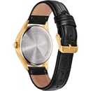 Image 1 of Citizen BF2003-25A