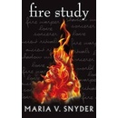 Fire Study - Snyder Maria V