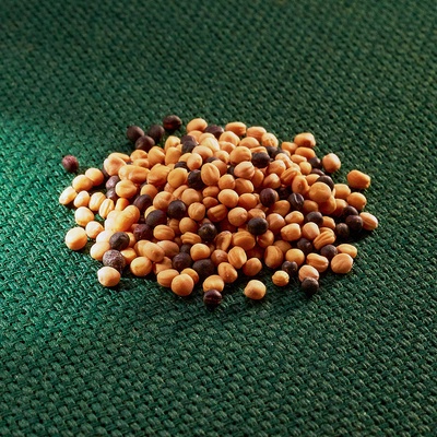 AROS zelené hnojení (hořčice + řepka)