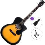 Pasadena PGC-100 Standard SET Сунбурст Джъмбо китара
