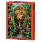 Castorland Puzzle 2000 pieces Leopard in the Wild