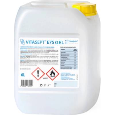 Goodpoint Vitasept E75 gel 6l