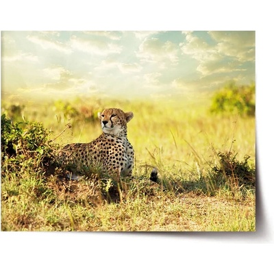 Sablio Plagát Gepard - 60x40 cm