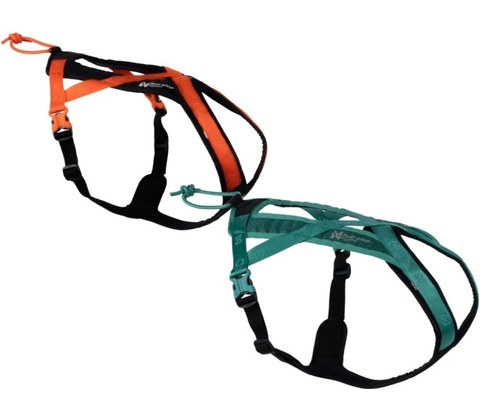 Non-stop dogwear postroj RUSH