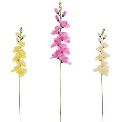 KS GLADIOLA, MIX/3F 69CM