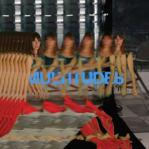 Universal Feist: Multitudes - Vinyl (LP) (058398)