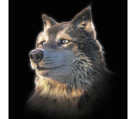 3D pohlednice Wolf Selfie Square
