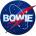David Bowie NASA Магнит (BOWMAG08)