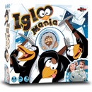 Asmodee Igloo Mania