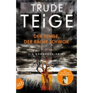 Der Junge, der Rache schwor | Trude Teige, Gabriele Haefs, Andreas Brunstermann (2025)