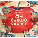 Čím čarujú vrabce - Ján Navrátil