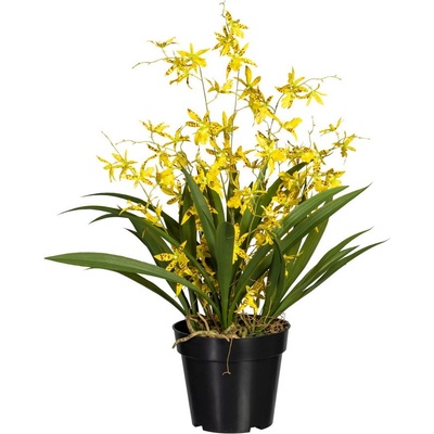 Umelá kvetina Oncydia žltá, 60cm