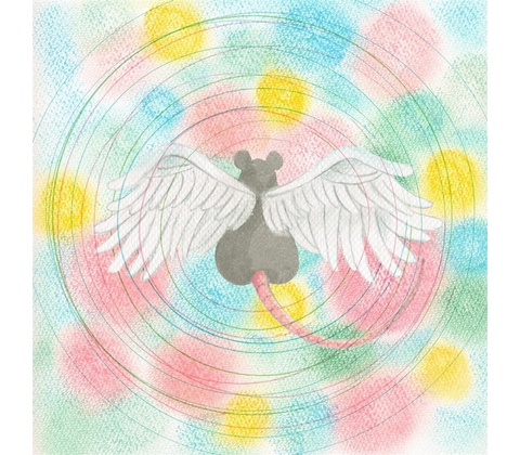 Mei Semones - ANIMARU CD