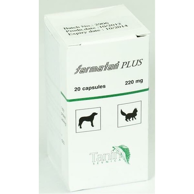 Farmatan 300 mg 20cps
