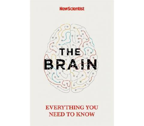 The Brain - New Scientist