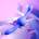 EVOLVED Our Gyro Vibe Dual End Vibrator Purple