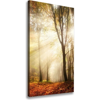 Vertikálny foto obraz canvas Les na jeseň 50x100 cm