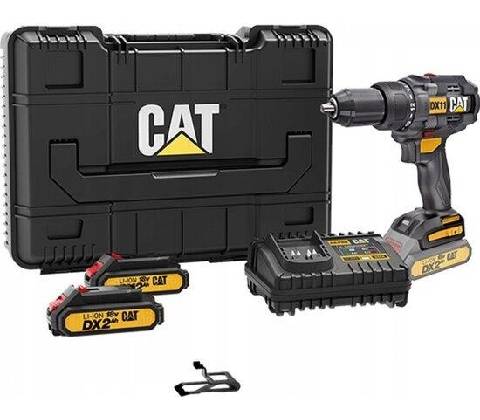CAT DX11