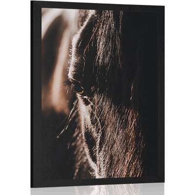 Plakát majestátní kůň - 40x60 no frame