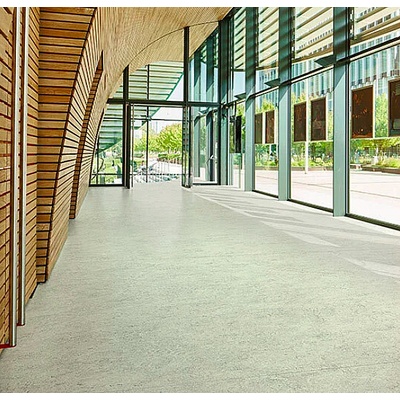 Forbo Marmoleum marbled real Mist grey 3032 2 mm 2 bm