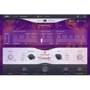 UJAM Dandy (Дигитален продукт)