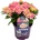 Forever & Ever® Macrophylla Pink Forever & Ever®