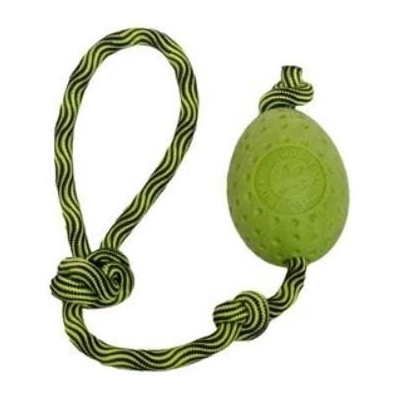 Kiwi Walker Hračka pes EGG MAXI plov. z TPR