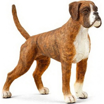 Collecta Boxer