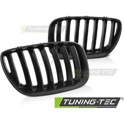 PŘEDNÍ MASKA, LEDVINKY BMW X5 E53, 2004-2006, ČERNÝ LESK, GRBMB8 – Sleviste.cz