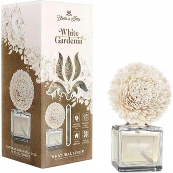 Elix difuzér 100 ml