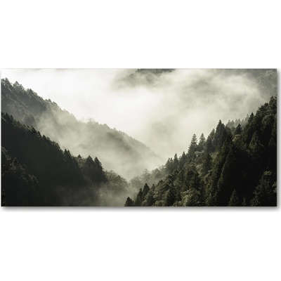 Foto obraz fotografie na skle Hmla nad lesom 100x50 cm