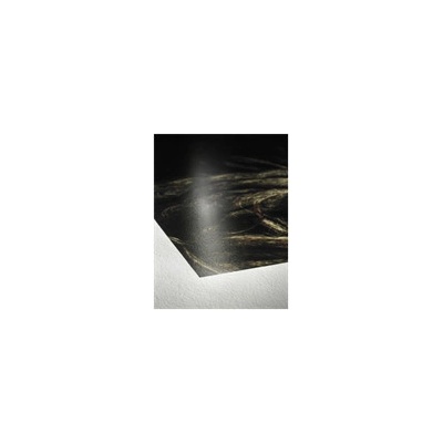 Hahnemühle 10641663